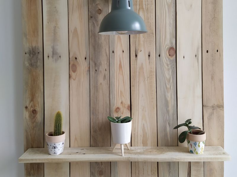 Upcycling projects: Rustic wooden pallet shelves styled with plants, mounted on a neutral wall