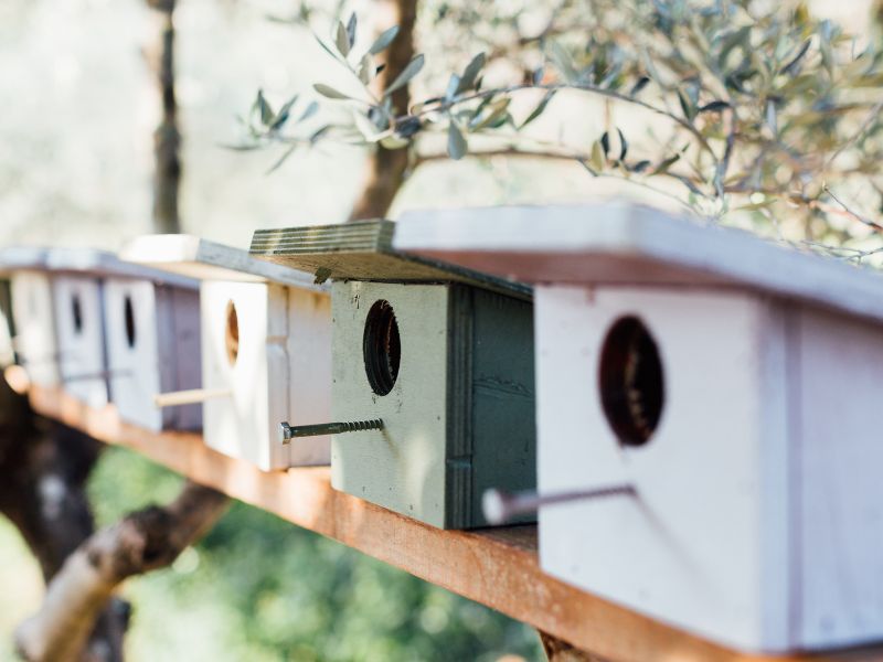 DIY garden projects: a charming row of handmade birdhouses on a wooden beam, perfect for attracting backyard birds