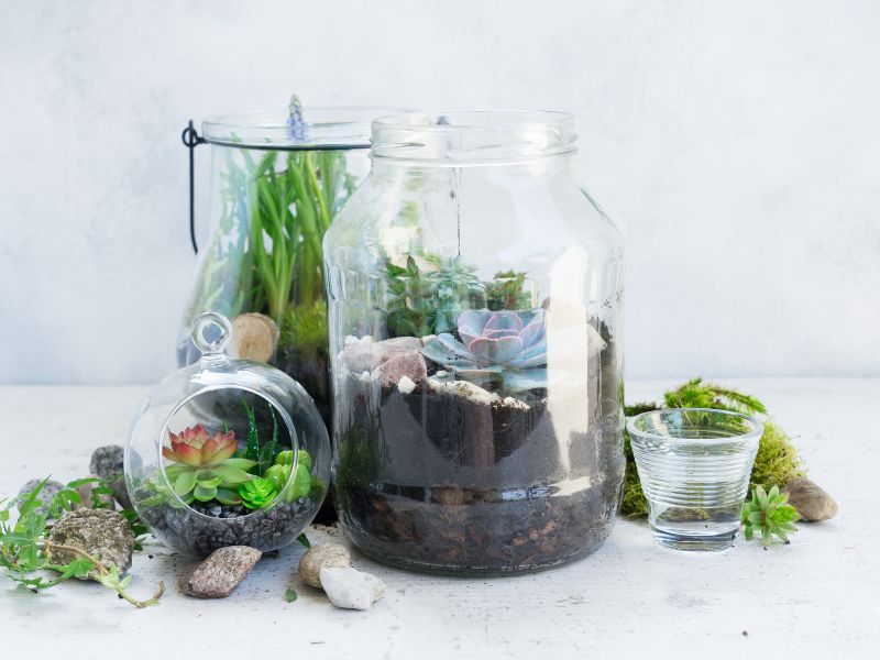 Upcycling projects: DIY mason jar herb garden filled with  small plants and fresh herbs