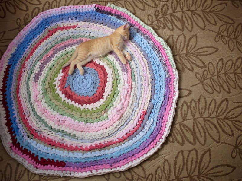 Affordable DIY projects: a colorful handmade circular rug crafted from upcycled fabric strips, with a kitten lounging on top