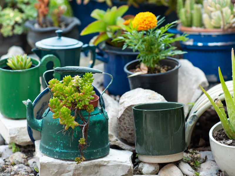 Affordable DIY projects: upcycled teapots and mugs repurposed as planters, adding charm to a creative and eco-friendly garden